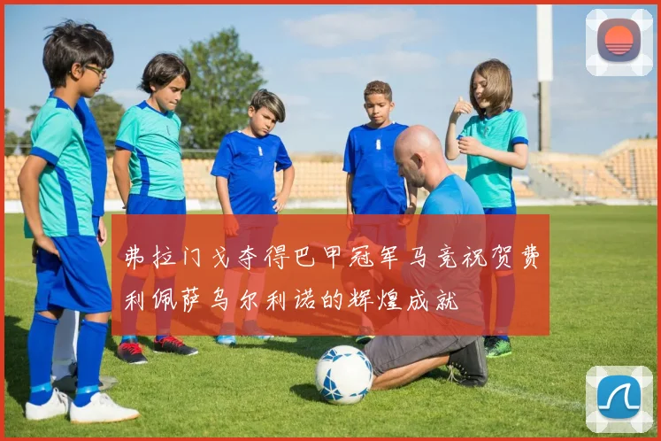 弗拉门戈夺得巴甲冠军马竞祝贺费利佩萨乌尔利诺的辉煌成就