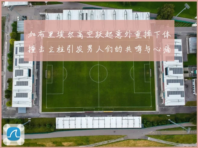 加布里埃尔高空跃起意外重摔下体撞击立柱引发男人们的共鸣与心痛